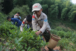 小學(xué)生參加馬術(shù)夏令營安全有保障嗎？