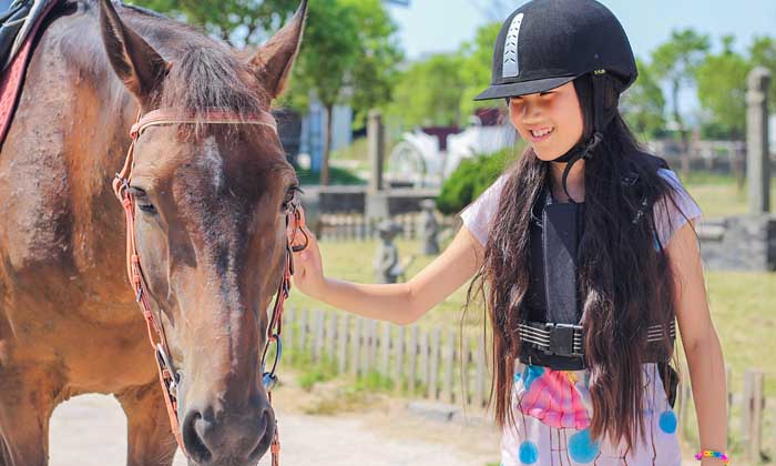國內(nèi)馬術(shù)夏令營