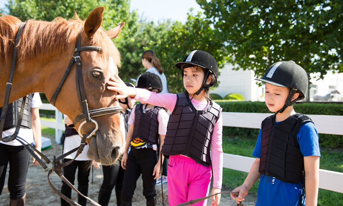 馬術(shù)夏令營(yíng)推薦