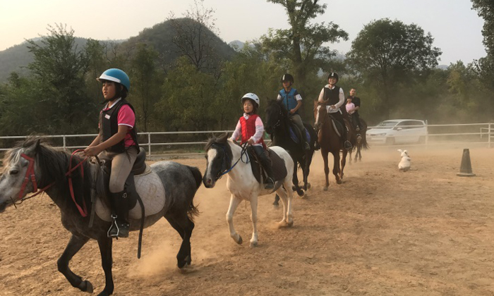 如何為孩子選擇一個優(yōu)質的馬術夏令營？.jpg