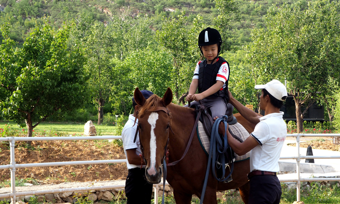 參加馬術特訓首先要了解哪些