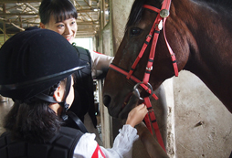 沒(méi)有基礎(chǔ)的孩子可以參加國(guó)內(nèi)馬術(shù)夏令營(yíng)嗎？
