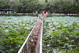 迷彩少年軍事夏令營(yíng)是專業(yè)訓(xùn)練機(jī)構(gòu)嗎？