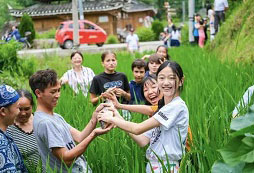 眉山好口碑夏令營排名