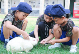 孩子們在喂兔子