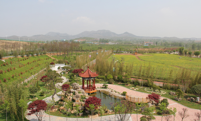 山東名將體育夏令營環(huán)境