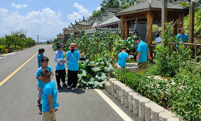 啟明心國學(xué)夏令營招生詳情