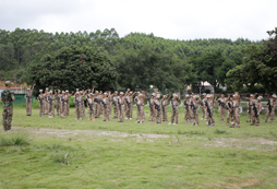 南寧軍事夏令營的拓展活動有哪些內容？