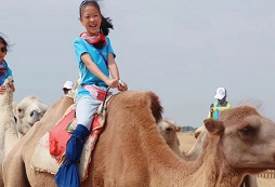 呼和浩特的夏令營暑假夏令營多少錢一個(gè)月？