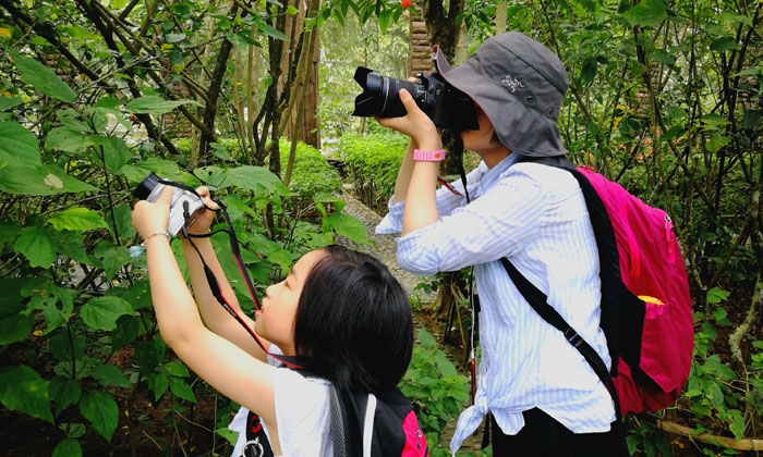 寧波有哪些研學夏令營