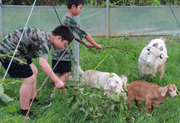 寧波青少年軍事夏令營(yíng)是孩子的不二之選！