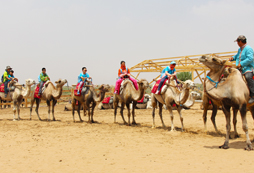 寧夏沙漠夏令營(yíng)安全值得信賴嗎？