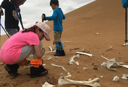 寧夏沙漠夏令營提供完善的戶外服務(wù)和體驗(yàn)