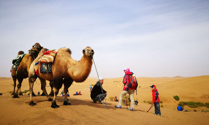 寧夏夏令營價格要多少