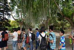 寧夏游學(xué)夏令營(yíng)的服務(wù)優(yōu)勢(shì)有哪些