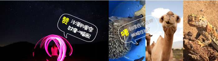 寧夏中小學(xué)生夏令營