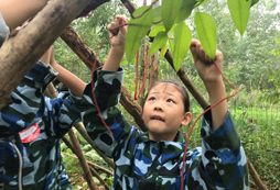 鍛煉孩子吃苦的農(nóng)村體驗夏令營有哪些