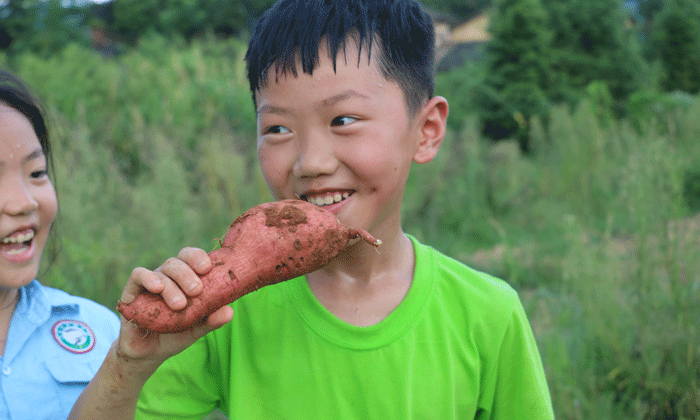 農(nóng)村吃苦鍛煉夏令營