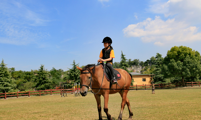 騎手的初步適應