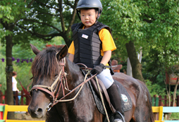 中小學生馬術夏令營入營須知
