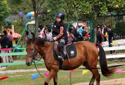 蘇州牛仔馬術夏令營的活動特色有哪些