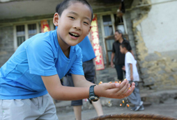 農(nóng)家體驗篇