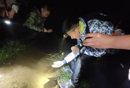 抓小魚(yú)
