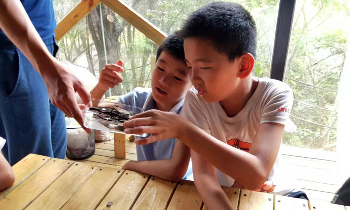 愛(ài)寶安全夏令營(yíng)