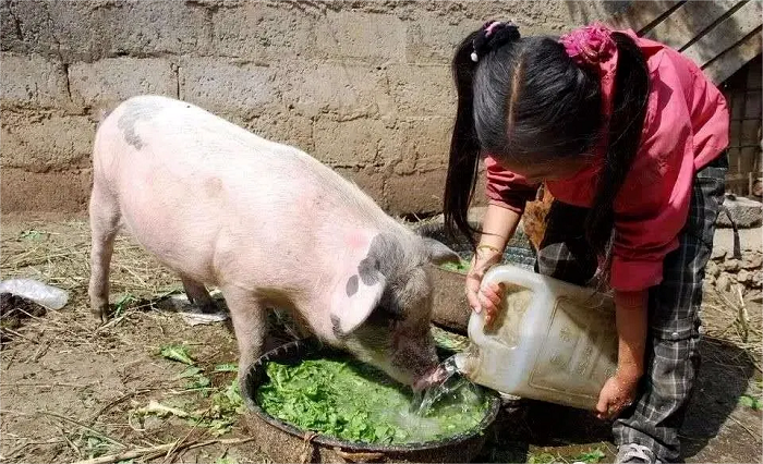 杭州聚冠教育夏令營