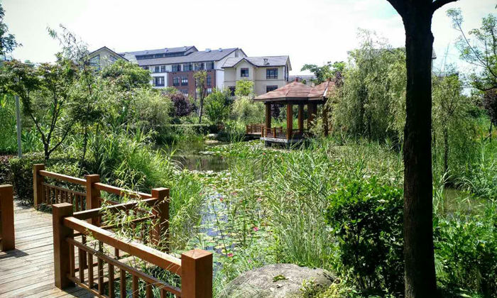 活動(dòng)環(huán)境圖片