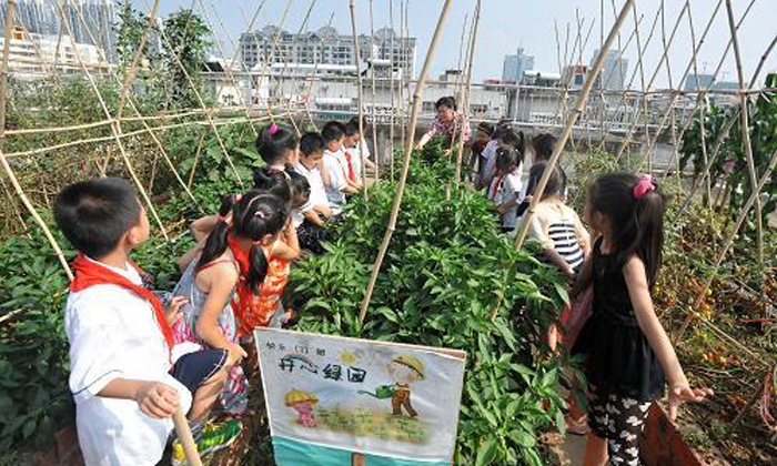 讓孩子參加拓展夏令營有哪些收獲