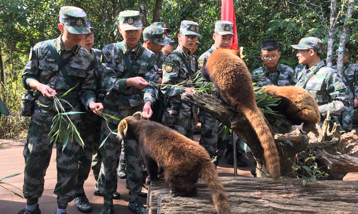 一個(gè)真正的軍事特訓(xùn)具備哪些條件