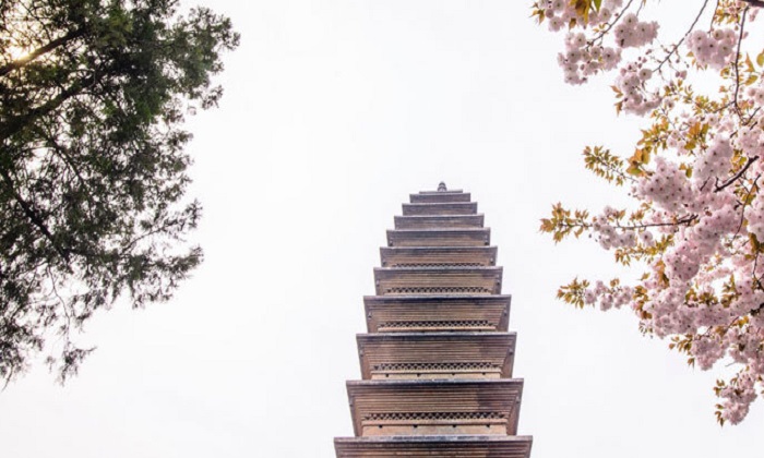 親子游學(xué)與你共約這個(gè)夏天