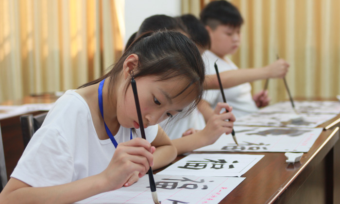 陶德教育夏令營(yíng)招生詳情