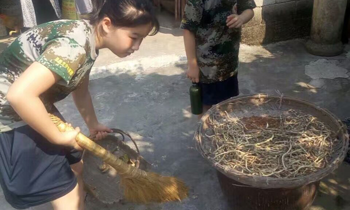 思想力軍事夏令營