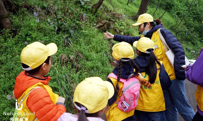 多樣星球自然學校夏令營