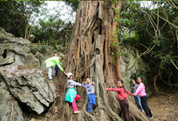 普洱小學生夏令營帶給孩子新奇的暑期體驗