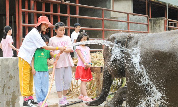 普洱小學生夏令營課程內(nèi)容