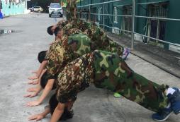 青島夏令營2024哪個課程招生人數(shù)多？