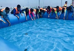 青少年參加青島海上研學(xué)夏令營能學(xué)到什么？