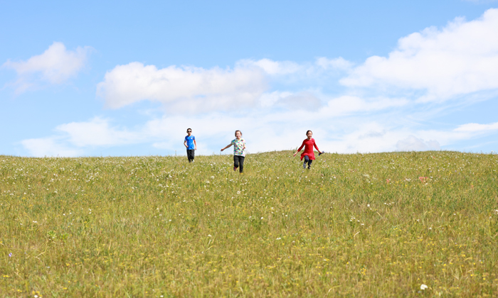 青海中學生夏令營