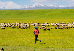 孩子報(bào)名青海的夏令營(yíng)如何？