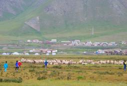 青海2021親子研學夏令營火熱招生中！