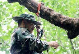 參加冒險夏令營鍛煉青少年綜合素質(zhì)