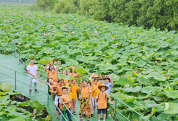暑假情商財商夏令營活動有哪些