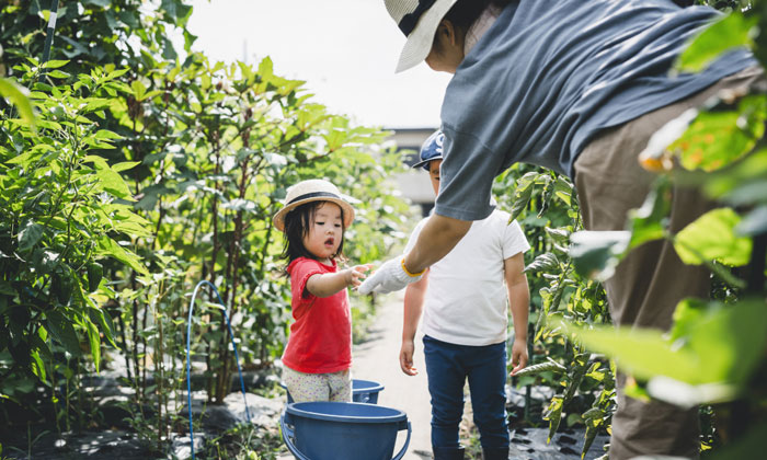 青少年夏令營有哪些
