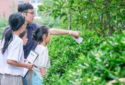 青少年夏令營(yíng)報(bào)名條件有哪些？