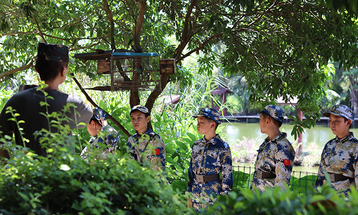 青少年夏令營有哪些