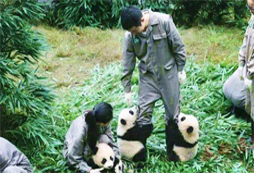如何選擇一個合適的親子夏令營呢？