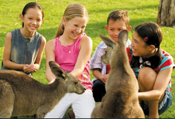 親子游學體驗活動為什么要選擇澳洲？